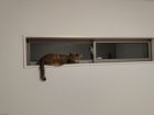 dsc_63cc63
