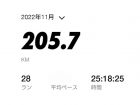 run202211